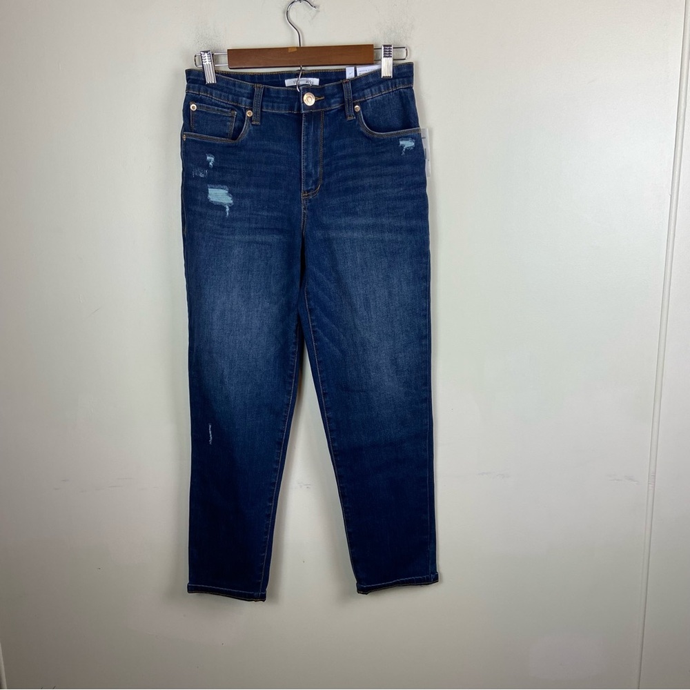 STS Blue Caroline Straight Leg High‎ Rise Stitch Fix Denim Jeans Classic NWT 27